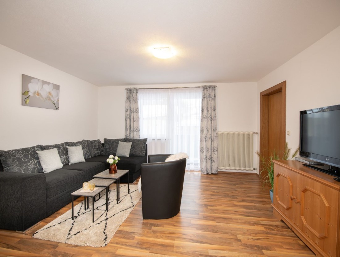 Gemütliches Wohnzimmer mit Flat-TV, ausziehbarer Schlafcouch und Balkon